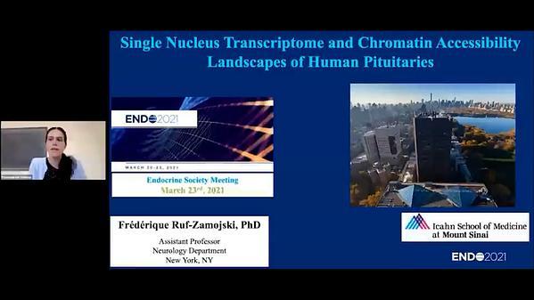 Single Nucleus Transcriptome and Chromatin Accessibility Landscapes of Human Pituitaries