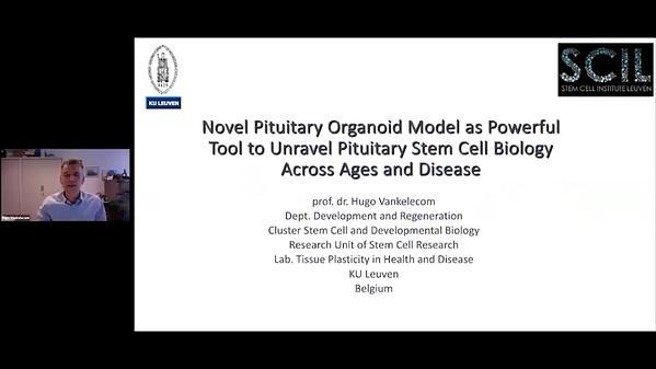 Novel Pituitary Organoid Model as Powerful Tool to Unravel Pituitary Stem Cell Biology Across Ages and Disease