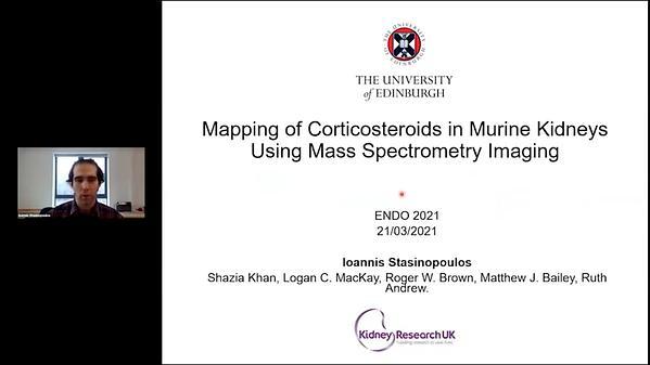 Mapping of Corticosteroids in Murine Kidneys Using Mass Spectrometry Imaging