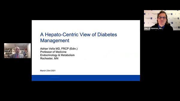 A Hepato-Centric View of Diabetes Management
