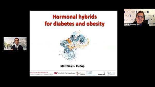 Hormonal Hybrids for Diabetes and Obesity