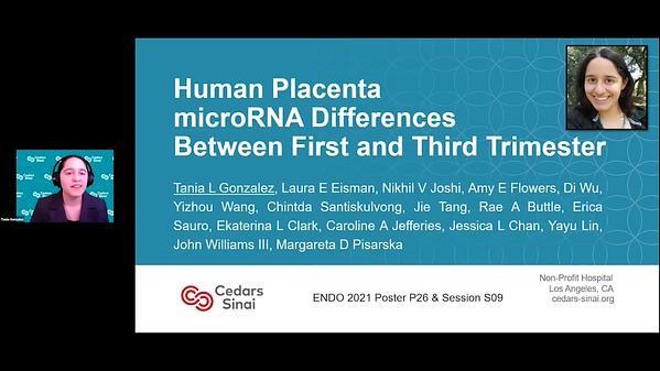 Human Placenta microRNA Differences Between First and Third Trimester