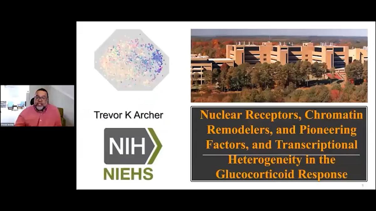 Lecture image placeholder