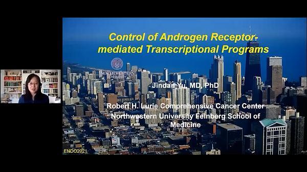 Control of Androgen Receptor-Mediated Transcriptional Programs