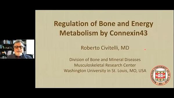 Regulation of Bone and Energy Metabolism by Connexin43