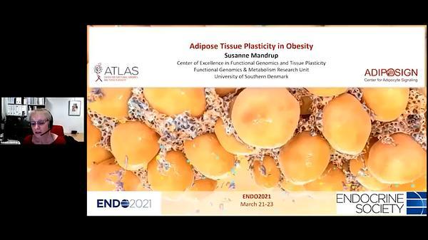 Adipose Tissue Plasticity in Obesity
