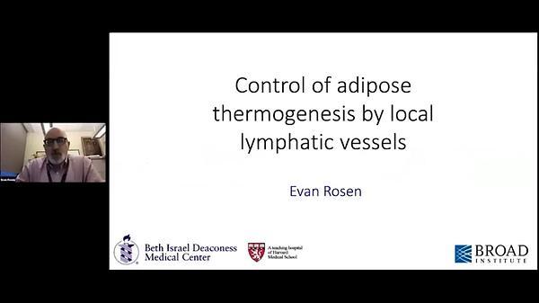Control of Adipose Thermogenesis by Local Lymphatic Vessels