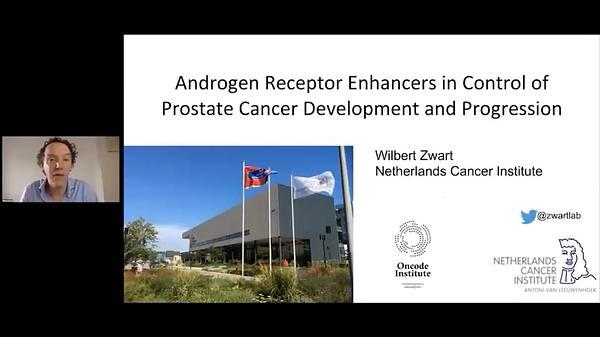 Androgen Receptor Enhancers in Control of Prostate Cancer Development and Progression