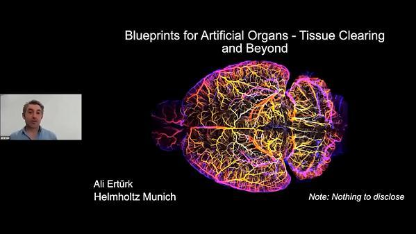 Blueprints for Artificial Organs - Tissue Clearing and Beyond
