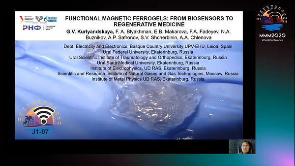 Functional magnetic ferrogels: from biosensors to regenerative medicine INVITED
