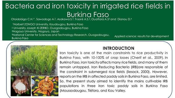 Bacteria and iron toxicity in irrigated rice fields in Burkina Faso