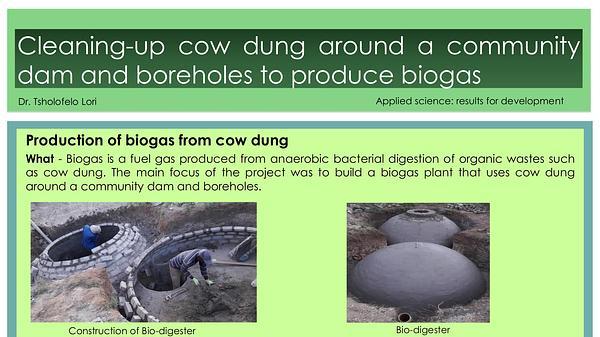 Cleaning-up cow dung around a community dam and boreholes to produce biogas