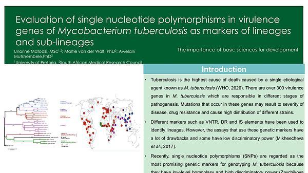 Evaluation of single nucleotide polymorphisms in virulence genes of Mycobacterium tuberculosis as markers of lineages and sub-lineages