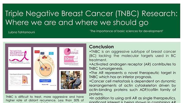 Triple Negative Breast Cancer (TNBC) Research: Where we are and where we should go