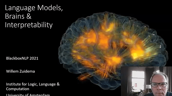 Language, Brains & Interpretability