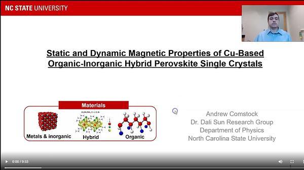 Static and Dynamic Magnetic Properties of Cu-Based Organic-Inorganic Hybrid Perovskite Single Crystals