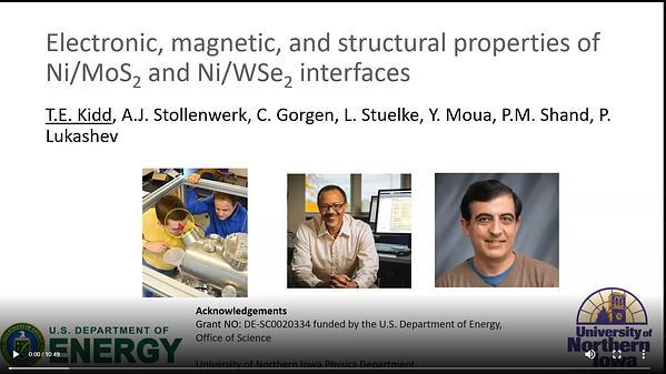 Electronic, magnetic, and structural properties of Ni/MoS2 and Ni/WSe2 interfaces