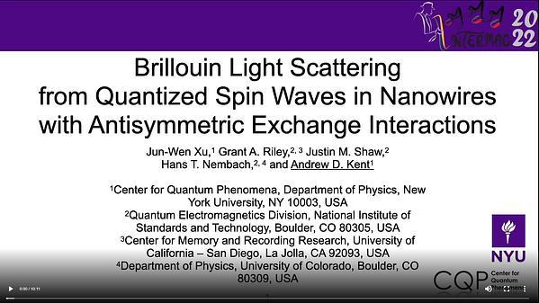 Brillouin Light Scattering from Quantized Spin Waves in Nanowires with Antisymmetric Exchange Interactions
