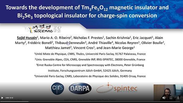 Towards the development of Tm3Fe5O12 magnetic insulator and Bi2Se3 topological insulator for charge-spin interconversion