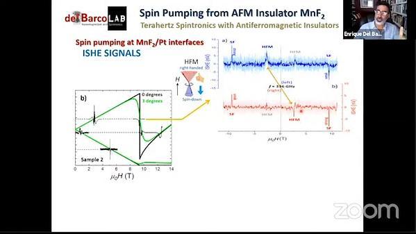 Coherent Sub-Terahertz Spin Pumping from an Insulating Antiferromagnet