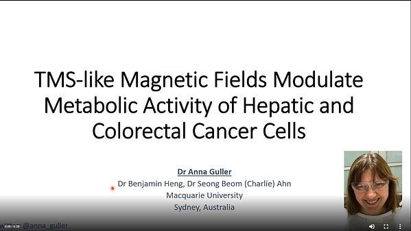 TMS-like Magnetic Fields Modulate Metabolic Activity of Hepatic and Colorectal Cancer Cells