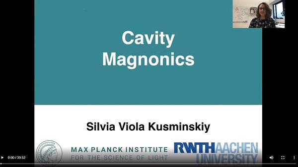Cavity Magnonics