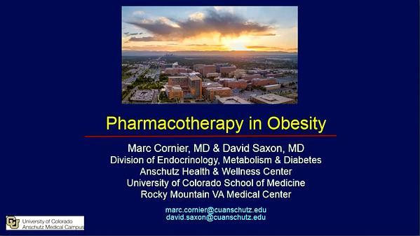 Pharmacotherapy in Obesity
