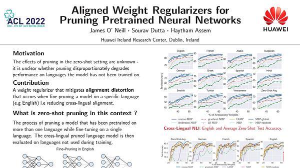 Aligned Weight Regularizers for Pruning Pretrained Neural Networks