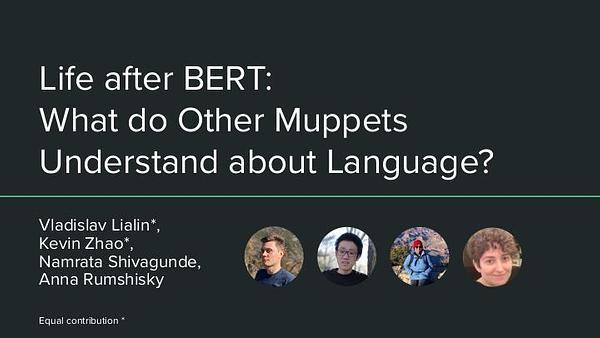 Life after BERT: What do Other Muppets Understand about Language?