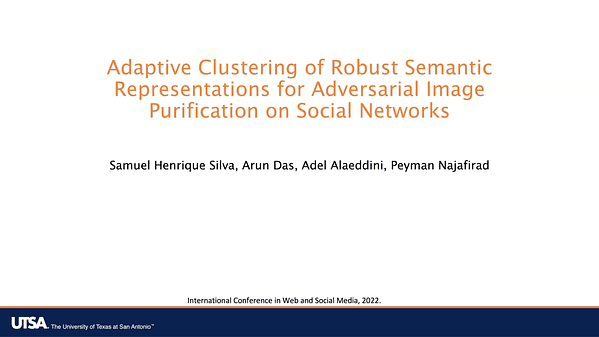 Adaptive Clustering of Robust Semantic Representations for Adversarial Image Purification