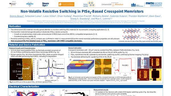Non-Volatile Resistive Switching in PtSe2-Based Crosspoint Memristors