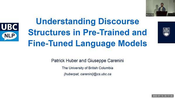 Towards Understanding Large-Scale Discourse Structures in Pre-Trained and Fine-Tuned Language Models