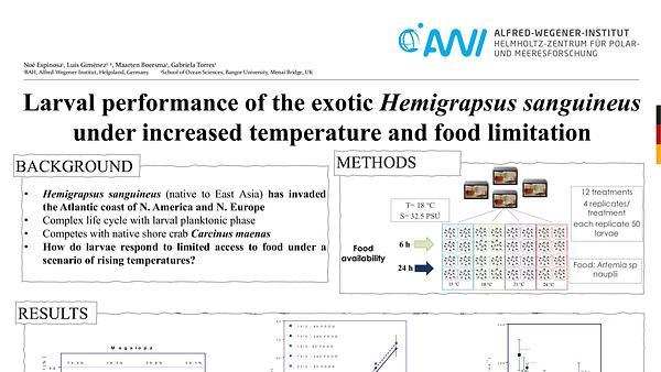 Larval performance of the exotic Hemigrapsus sanguineus under increased temperature and food limitation