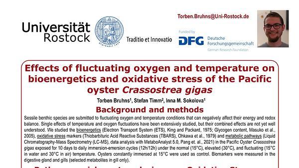 Effects of fluctuating oxygen and temperature regime on bioenergetics and oxidative stress of the pacific oyster Crassostrea gigas