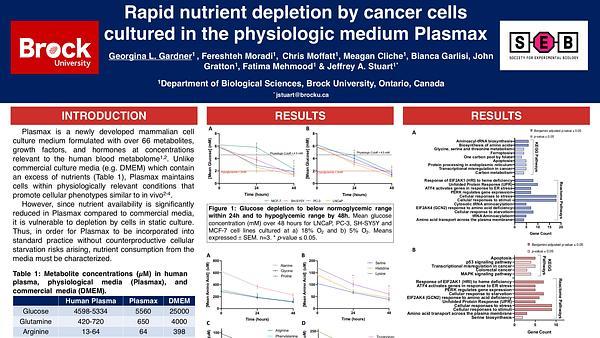 Rapid nutrient depletion by cancer cells cultured in the physiologic medium Plasmax  