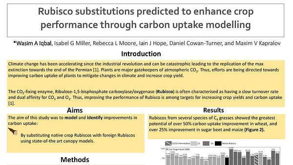 Rubisco substitutions predicted to enhance crop performance through carbon uptake modelling