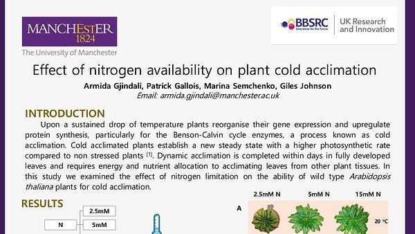 Plants cold ressponse and how is affected by nitrogen availability
