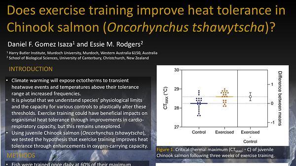 Does exercise training improve heat tolerance in Chinook salmon (Oncorhynchus tshawytscha)?