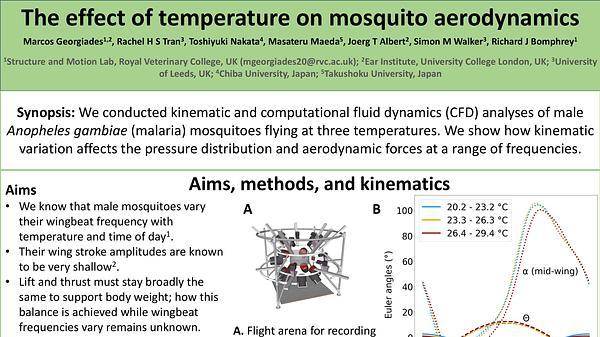 The effect of temperature on mosquito aerodynamics