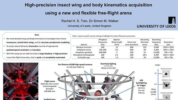 High-precision insect wing and body kinematics acquisition using a new and flexible free-flight arena