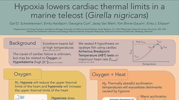 Hypoxia lowers cardiac thermal limits in a marine teleost (Girella nigricans)