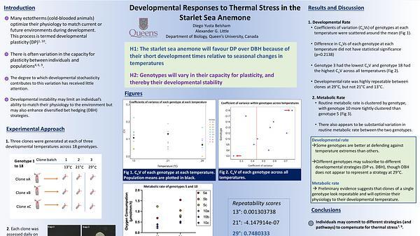 Developmental Responses to Thermal Stress in the Starlet Sea Anemone