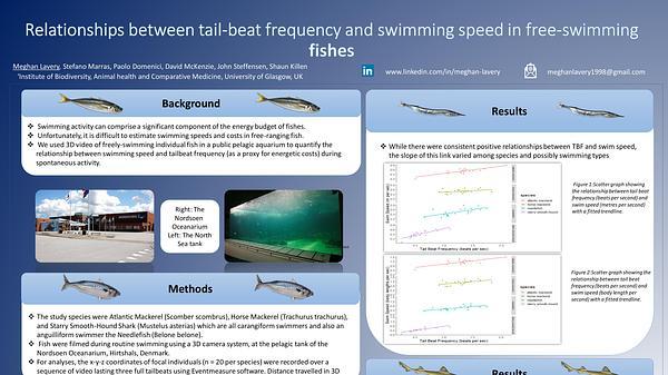 Relationships between tail-beat frequency and swimming speed in free-swimming fishes