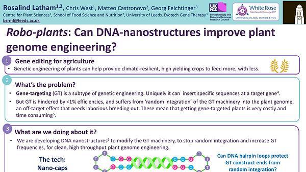 GM plants 2.0: Can DNA nanotechnology enhance plant genome engineering?