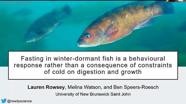 Fasting in winter-dormant fish is a behavioural response rather than a consequence of constraints of cold on digestion and growth