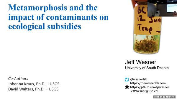 Metamorphosis and the impact of contaminants on ecological subsidies