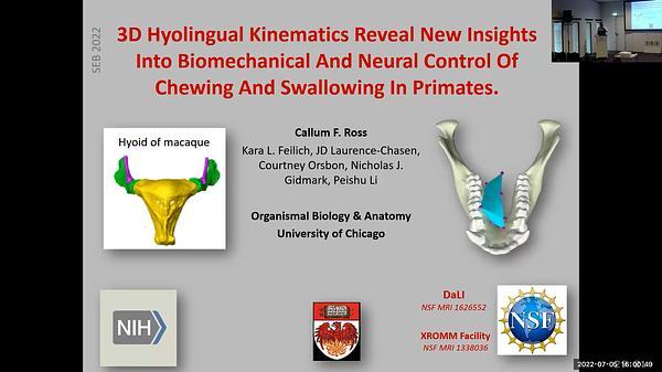 3D Hyolingual Kinematics Reveal New Insights Into Biomechanical And Neural Control Of Chewing And Swallowing In Primates.
