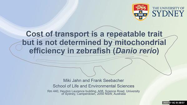 Cost of transport is a repeatable trait but is not determined by mitochondrial efficiency in zebrafish (Danio rerio)