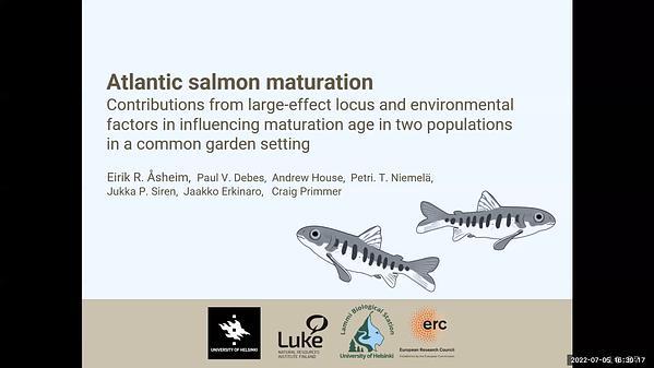 Atlantic salmon maturation: contributions from large-effect locus and environmental factors in influencing maturation age in two populations in a common garden setting.