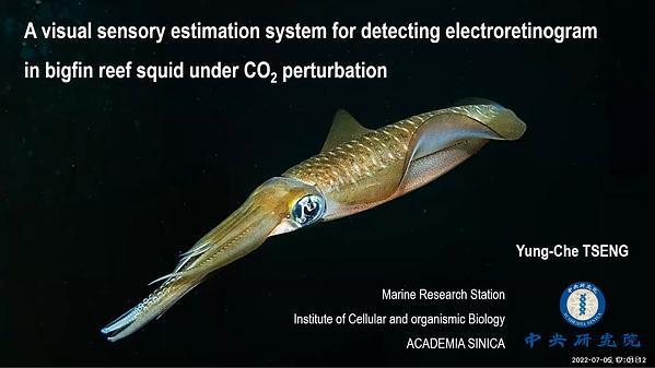 A visual sensory estimation system for detecting electroretinogram in bigfin reef squid under CO2 perturbation